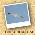 ber Borkum